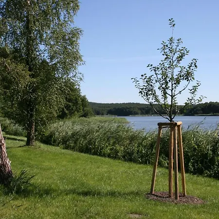 Apartamento Kolp - La Paloma 4 *